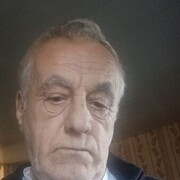 ,   , 77 ,   ,   , c 
