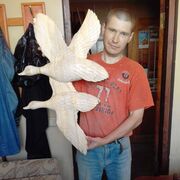 ���������� �����, ���� ������� �����, 41 ���, ������������ ��� ������, ����� � ���������, c�������� ���������