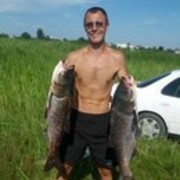 ���������� �����������, ���� ������� ����, 43 ����, ������������ ��� ������, ����� � ���������, c�������� ���������