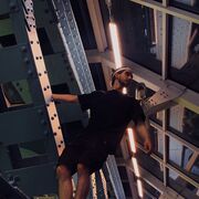 ���������� ��������, ���� ������� ���������, 27 ���, ������������ ��� ������, ����� � ���������