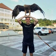 ���������� �������, ���� ������� ��������, 30 ���, ������������ ��� ������, ����� � ���������