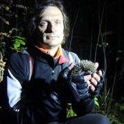 ���������� ������, ���� ������� ������, 52 ����, ������������ ��� ������, ����� � ���������, c�������� ���������