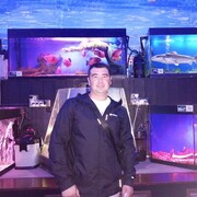 ���������� ���������, ���� ������� �����, 36 ���, ������������ ��� ������, ����� � ���������