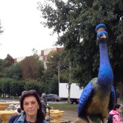  ,   , 58 ,   ,   , c 