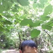 ���������� ������, ���� ������� ������, 42 ����, ������������ ��� ������, ����� � ���������, c�������� ���������, ���������