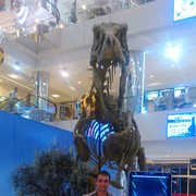 ���������� �������, ���� ������� 909537391, 38 ���, ������������ ��� ����� � ���������, c�������� ���������