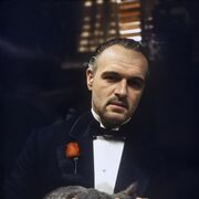 ���������� ������, ���� ������� ����, 39 ���, ������������ ��� ������