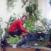 ���������� �����, ���� ������� ����, 34 ����, ������������ ��� ������