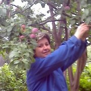 ���������� ���������� �����, ���� ������� ������, 52 ����, ������������ ��� ����� � ���������, c�������� ���������