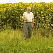 ���������� ���������, ���� ������� ��������, 71 ���, ������������ ��� ����� � ���������, c�������� ���������