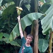  ,   Chocolatebo, 33 ,     , c 