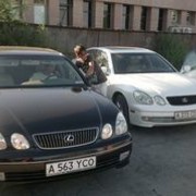 ���������� �����������, ���� ������� �������, 38 ���, ������������ ��� ������, ����� � ���������, c�������� ���������