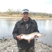 ���������� �������-����������, ������� ������, 48