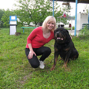 ���������� ���������, ���� ������� �������, 48 ���, ������������ ��� c�������� ���������