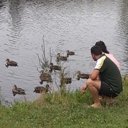 ���������� �������, ���� ������� Dato, 105 ���, ������������ ��� ������, ����� � ���������, c�������� ���������