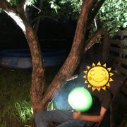 ���������� ���������, ���� ����� ����, 24 ����, ������������ ��� ������, ����� � ���������, c�������� ���������