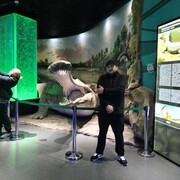 ���������� ���������, ���� ������� �������, 34 ����, ������������ ��� ������, ����� � ���������, c�������� ���������