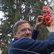 ���������� ������, ���� ������� ����, 71 ���, ������������ ��� ������, ����� � ���������