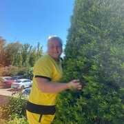 ���������� �����-���������, ���� ������� ������, 40 ���, ������������ ��� c�������� ���������