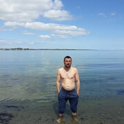  Austerlitz,   Vasile, 39 ,   ,   