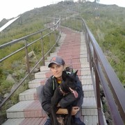  -,   , 42 ,   