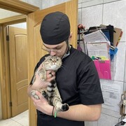 ���������� ������, ���� ����� ��������, 23 ����, ������������ ��� ������, ����� � ���������, ���������