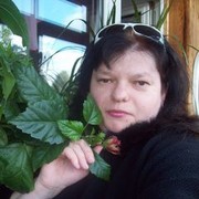  ,   , 43 ,  