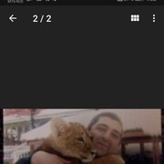 ���������� ����, ���� ������� �����, 36 ���, ������������ ��� ������, ����� � ���������