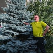 ���������� ����, ���� ������� ����������, 36 ���, ������������ ��� ����� � ���������, c�������� ���������