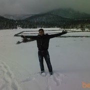 ���������� �������, ���� ������� D a v i t, 36 ���, ������������ ��� ������, ����� � ���������, c�������� ���������