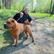 ���������� �������, ���� ������� ���������, 37 ���, ������������ ��� ������, ����� � ���������, ���������