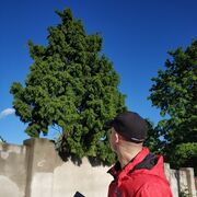 ���������� ��������, ���� ������� �������, 26 ���, ������������ ��� ���������