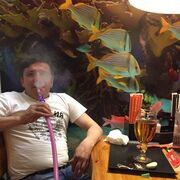 ���������� ������, ���� ������� ������, 43 ����, ������������ ��� ������, ����� � ���������