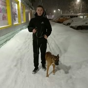  ,  , 28