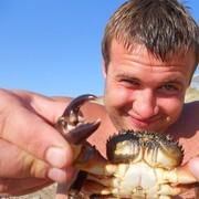 ���������� ����, ���� ������� ������, 37 ���, ������������ ��� ������, ����� � ���������, c�������� ���������