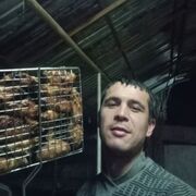  ,   , 31 ,   ,   , c , 