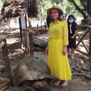 ���������� �����-���������, ���� ������� �����, 29 ���, ������������ ��� c�������� ���������