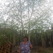  ,   , 51 ,   ,   , c 
