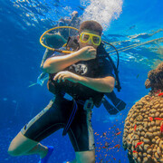 ���������� Gebze, ������� ���, 33