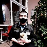 ���������� �������, ���� ������� ����� ������, 36 ���, ������������ ��� ������, ����� � ���������, c�������� ���������, ���������