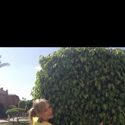 ���������� �����-���������, ���� ������� ��������, 42 ����, ������������ ��� ������, ����� � ���������, c�������� ���������