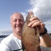  ,   , 51 ,   ,   