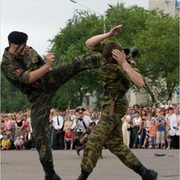  ,  , 37