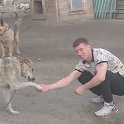 ���������� �������, ������� ��������, 36