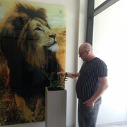  ,   , 45 ,   ,   