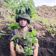 ���������� ������, ���� ������� ������, 37 ���, ������������ ��� ������, ����� � ���������, c�������� ���������