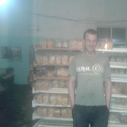  ,   , 48 ,   ,   , c , 