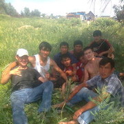 ���������� ������, ���� ������� 87025171144, 36 ���, ������������ 