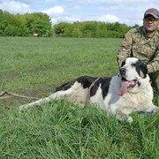 ���������� ������, ���� ������� �����, 48 ���, ������������ ��� ������, ����� � ���������, c�������� ���������