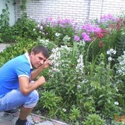 ���������� ����, ���� ������� �����, 38 ���, ������������ ��� ����� � ���������, c�������� ���������